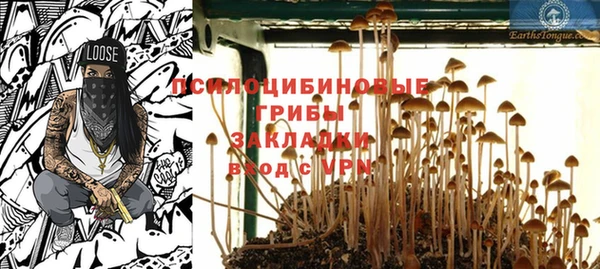 MDMA Няндома