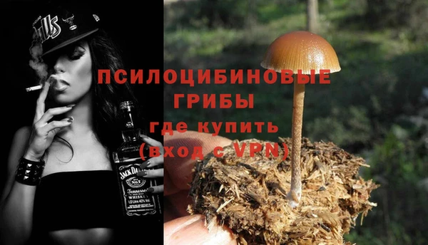 ГАЛЛЮЦИНОГЕННЫЕ ГРИБЫ Нязепетровск