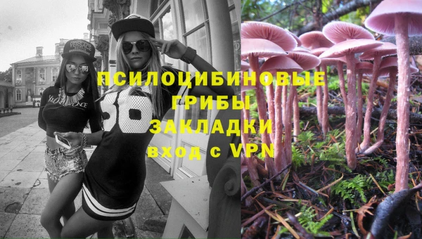 ГАЛЛЮЦИНОГЕННЫЕ ГРИБЫ Нязепетровск