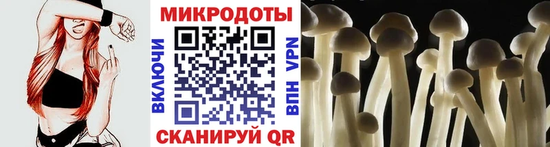Галлюциногенные грибы Magic Shrooms  сайты даркнета телеграм  Торжок 
