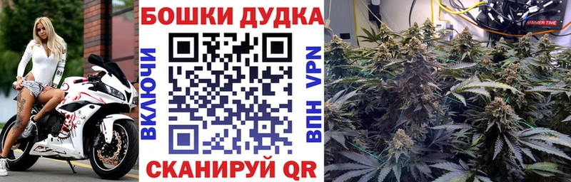 Бошки Шишки MAZAR  купить   Торжок 